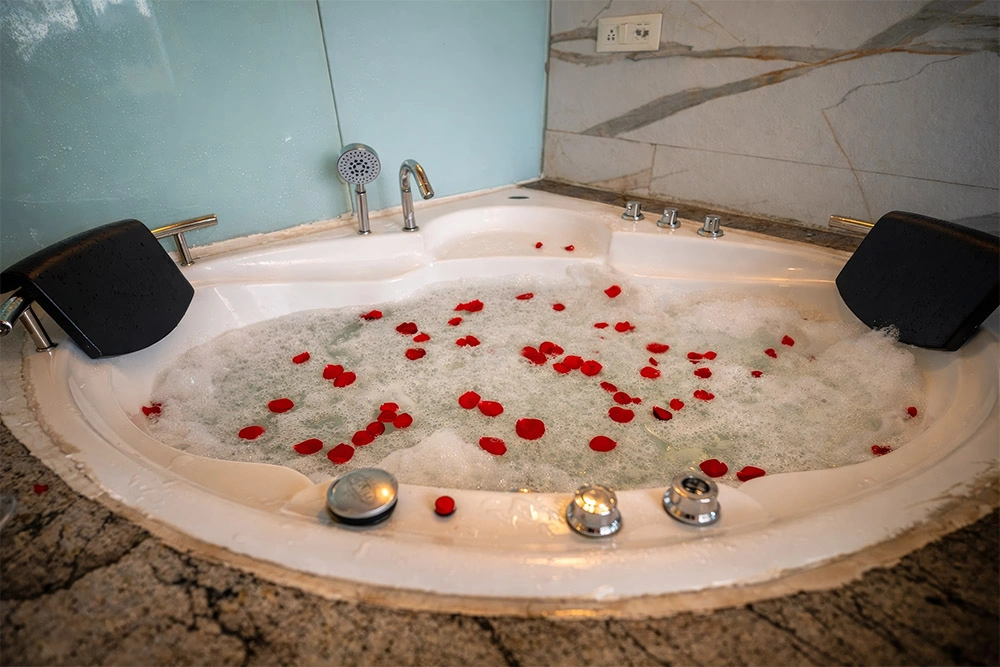 https://luxuryvibesstay.com/wp-content/uploads/2026/07/nirvana-luxury-vibes-stay-18.webp